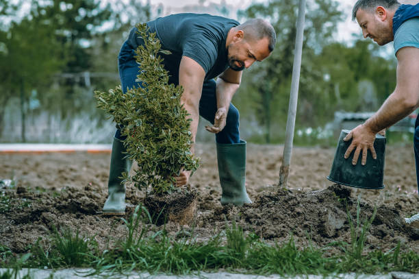 Best Soil Testing and Treatment  in Childress, TX